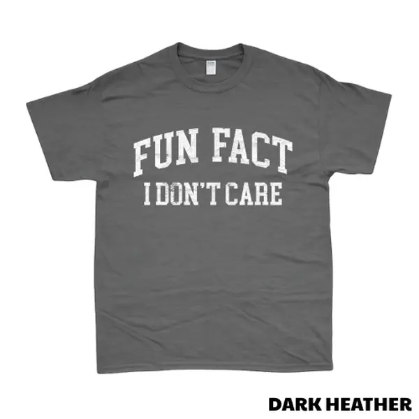 Fun Fact I Don't Care Shirt, Funny Sarcastic T-Shirt, Attitude Graphic Tee, Introvert Humor Shirt, Trendy Statement Tee, Gift for Men Women