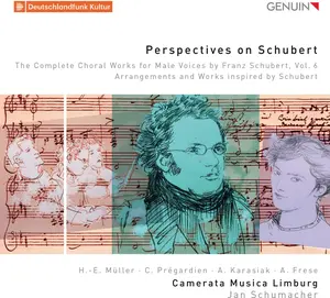 Various Artists - Perspectives on Schubert 6   [COMPACT DISC - CD]