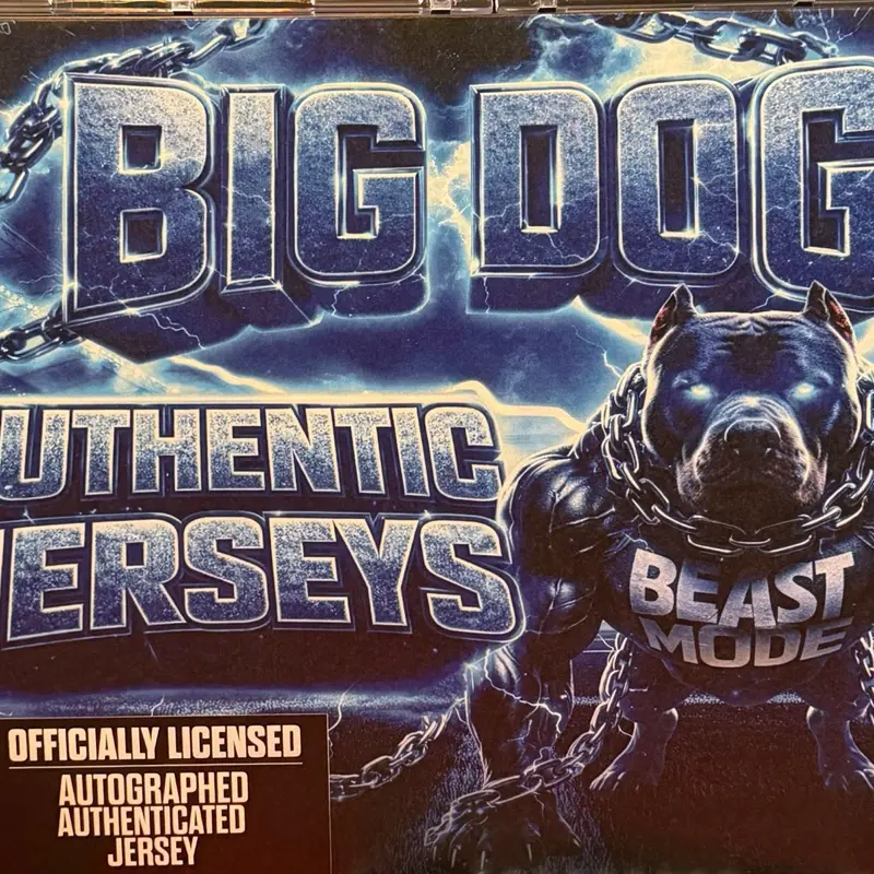 1 big dog  nfl jersey sweet 16 break and score trick or treat