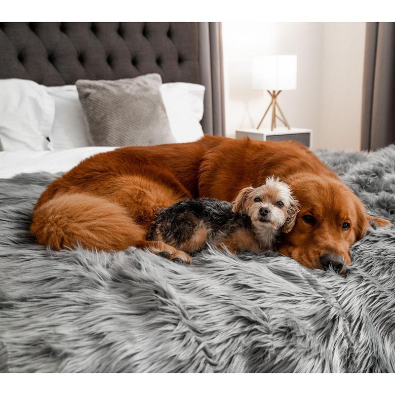 Paw Brands PupProtector 60"x50" Waterproof Pet Blanket