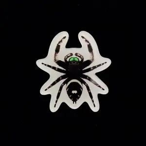 Regal Jumping Spider Acrylic Magnet Enclosure Tag (Phidippus regius)
