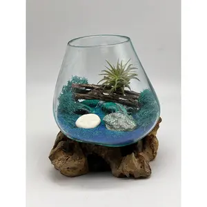 Nature Home Decor, Green Fuchsite Raw Stone Air Plant Beach Terrarium Kit with Miniature Sand Dollar, Blown Glass, Approx 5x5 inches