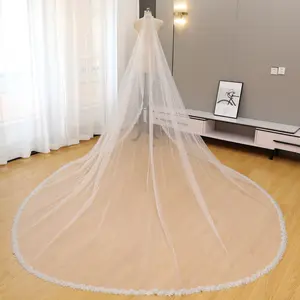 Shimmering Hand-Beaded Bridal Veil | Detailed Pearl & Silver Seed Bead Border | 1-Tier Ethereal High-Clarity Crystal Train