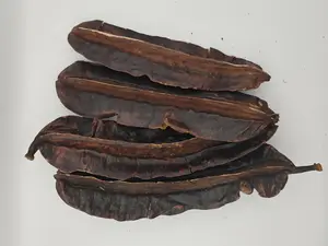 Aidan Fruit| prekese| 4 Count