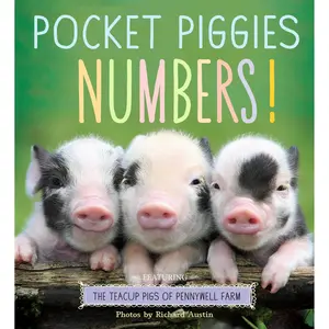 Pocket Piggies Numbers!