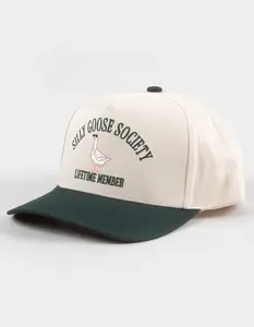 THE HAPPIEST Silly Goose Womens Snapback Hat, Green Combo