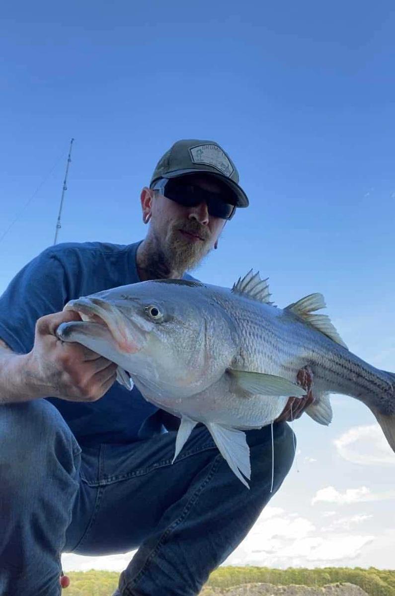 Item: Blue Wave, 30LB