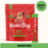 Waterboy Daily Hydration | 4x Electrolytes & Sugar Free | Electrolyte Powder Sticks | Gluten Free, Non-GMO