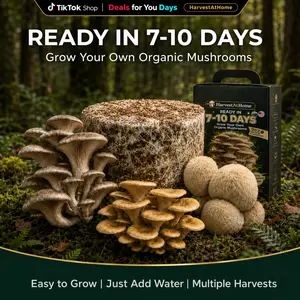 【Deals for You Days】Multiple Harvests Harvest At Home Edible Organic Oyster Mushroom Grow Kit 3.5 lb | Ready in 7–10 Days  | Beginner Friendly | DIY Indoor Gardening Gift for Plant Lovers, Father's Day Gift，Kids & Adults