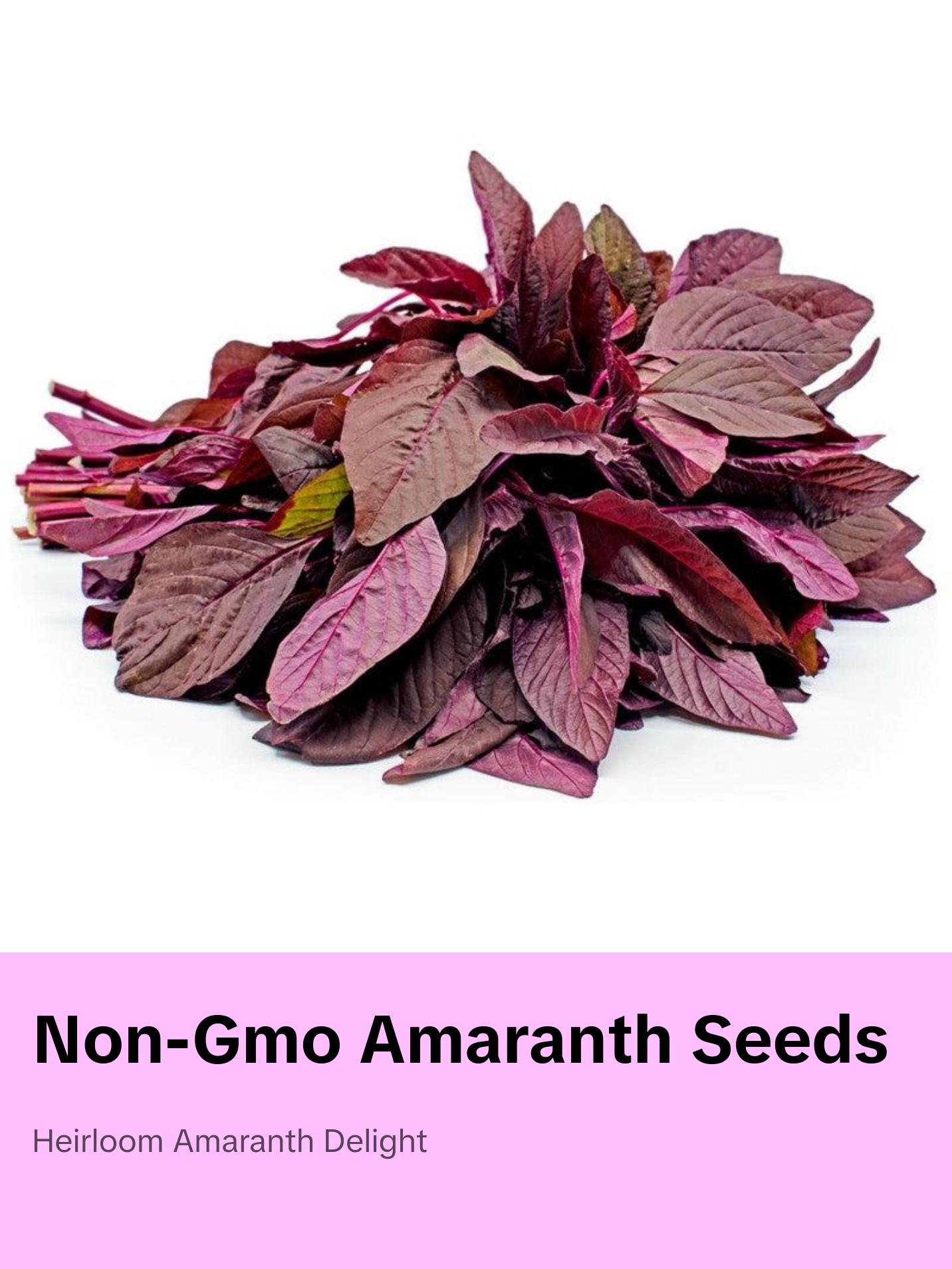 Red Amaranth Seeds Rau Dền Đỏ Non-GMO Heirloom Annual Bag for Warm ...