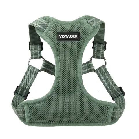 Voyager Step-In Flex Dog Harness - Flexible Breathable Air Mesh No Pull Vest for Small Medium Large Dogs | Adjustable Comfort Fit | Lightweight Everyday Walking Harness by Best Pet Supplies