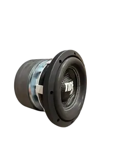 Tide Audio DS8 8 Inch Subwoofer 1000w