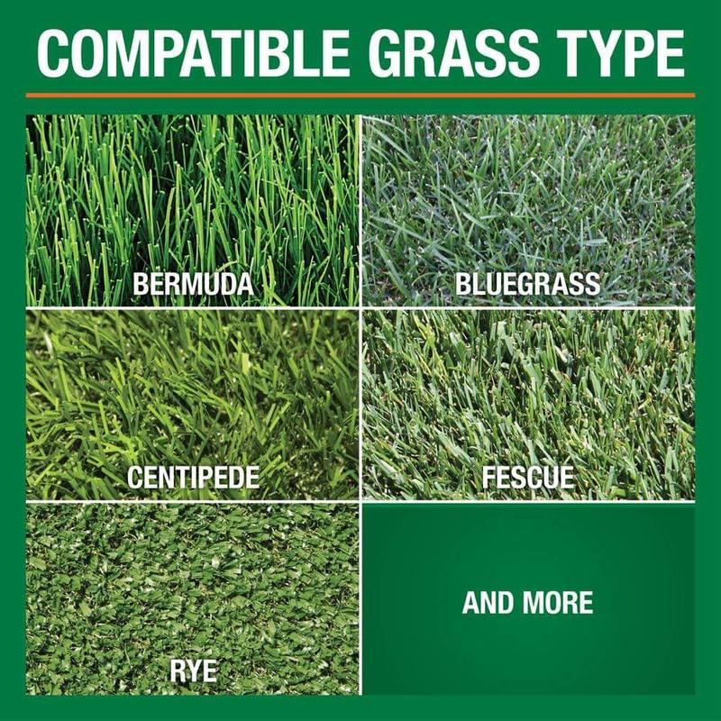 Lawn Fertilizer 14 lbs 5000 sq ft for All Grass Types with Assurance Particle Technology 29-0-4 Feeds 5000 Sq Ft