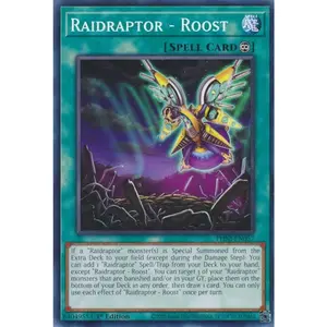 Raidraptor - Roost | PHNI-EN057
