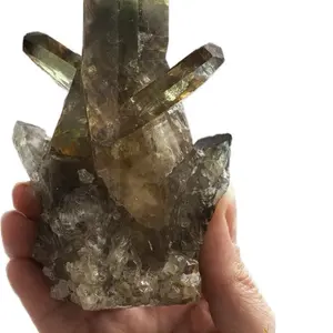 Mini Phantom Guardian Smoky Quartz w Green Chlorite Inclusion Natural Protector Cluster 0.58 lb Earth Protector Specimen Hand-held Altar Desk Size
