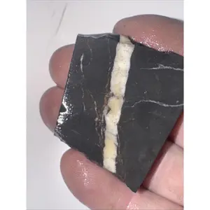 15g Rough Turquoise White Buffalo Dolomite Slab Otteson GemStone Lapidary