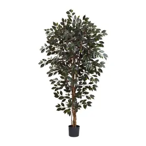 6' Capensia Ficus Tree by Nearly Natural