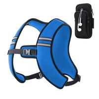 Light Blue Vest & Phone Pouch