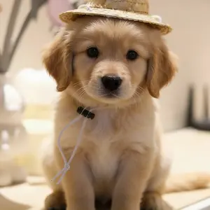Handmade Straw Hat for Small Pets, Outdoor Sun Protection Hat for Cats and Dogs, Stylish Pet Accessory, DIY Craft Project