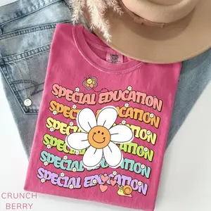 Comfort Colors Special Education Teacher Shirts, Special Education Teacher Gifts, Sped Teacher Shirt, Autism Teacher Shirt, Sped Shirt Gift
