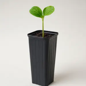 Tall Tree Pots - 12 x 4  Inch Containers for Seedlings, Grafting, Greenhouse Growing
