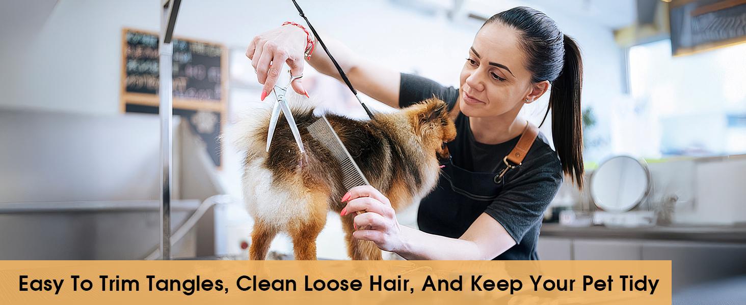 2-in-1 Stainless Steel Pet Comb Set for Dogs & Cats - 3 Pack Grooming Combs in Large Medium Small Sizes for Long Short Curly Hair Detangling Matted or Knotted Undercoat  brush  comb Multifunctional Flea