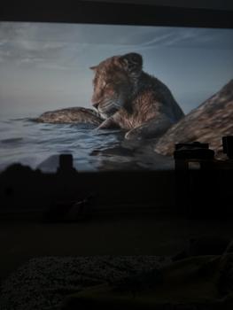 product review image from Goldey 3