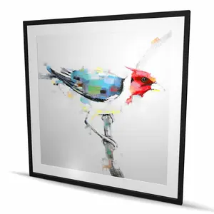 Begin Home Decor C1FM4848IMXEFR 48 x 48 in. Colorful Woodpecker - Framed Matted Print Wall Art - Home Decor Art