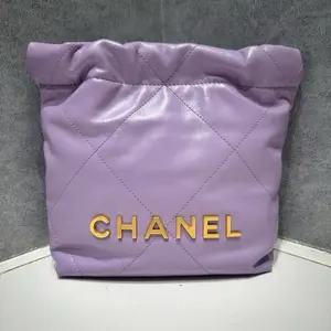 Pre-owned CHANEL Mini 22 Hobo Brand N