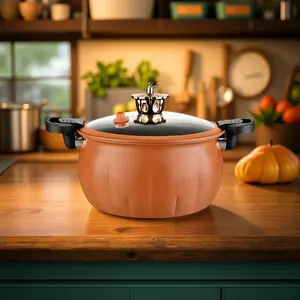 Cast Iron Pumpkin Dutch Oven Pot with Lid – 8L with 3 floral Simmer Pot kits