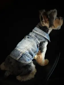 Comfy Doggie Denim Jacket for Winter Season - Durable & Hassle-Free Pet Apparel for Fashion and Function