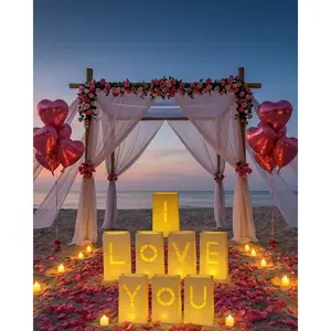 I Love You Light Up Letters Include  Rose Petals and Led Candles Heart Balloons Set Room Decor Proposal Decorations