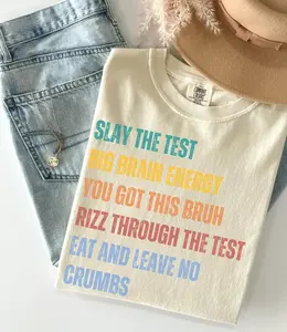 Comfort Colors Test Day Teacher Shirt, Slay the Test, State Testing Day Teacher Team Shirt, Testing Coordinator Shirt, Standardized Test Tee, Slay The Test Big Brain Energy Tee