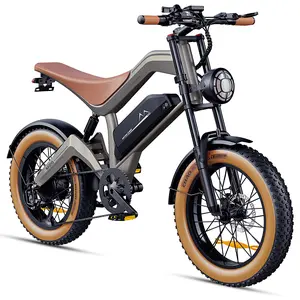 DYU-m20 Sleek Electric Bike for Urban Mobility Moped Style Ebike with Comfortable Seat Sturdy Tires Ideal for City Commuting
