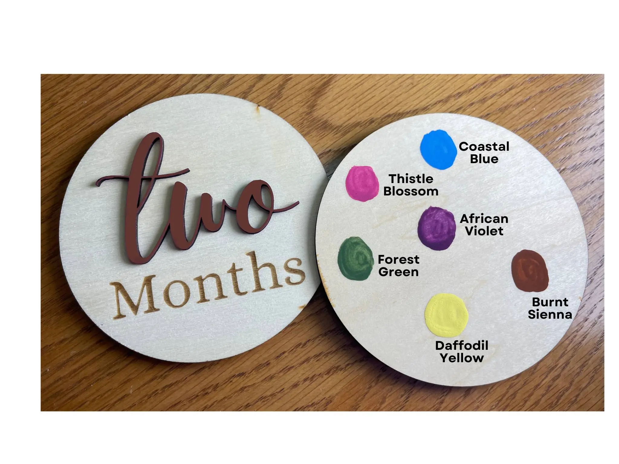 Michigan-Made Artisan Baby Milestone Markers, Handcrafted & Laser Engraved, Capture Your Little One's Growth Journey