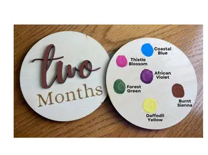 Michigan-Made Artisan Baby Milestone Markers, Handcrafted & Laser Engraved, Capture Your Little One's Growth Journey