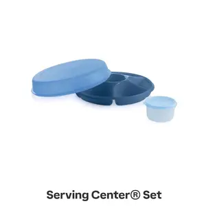 Tupperware Serving Center Set Blue Food Craft Dividers for Organizing Water Paint Beads and Culinary Projects