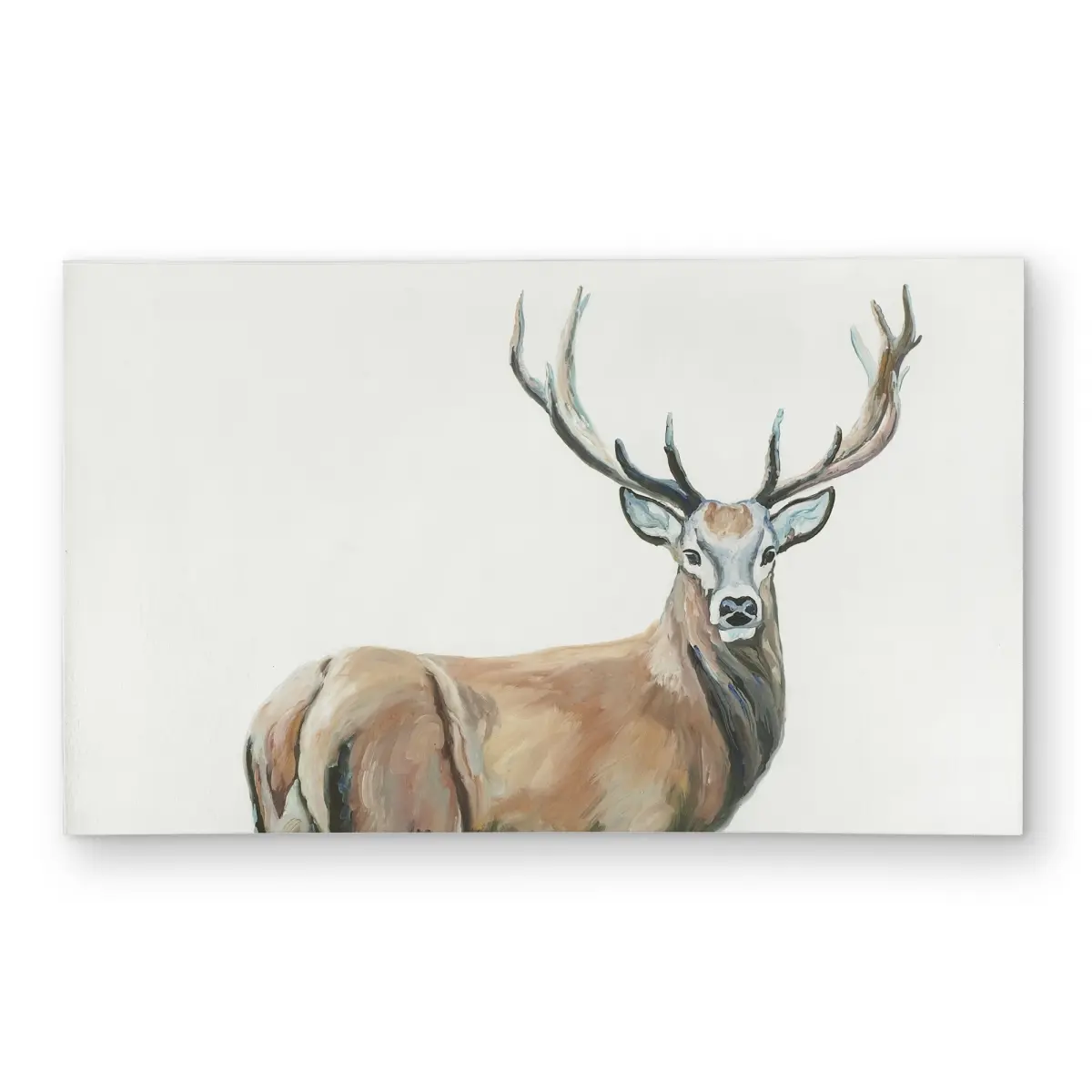 360 stand Deer Print Rectangle Decorative Rug - 3x5 ft Weatherproof Indoor/Outdoor Carpet with Printed Face, for Living Room & Scandinavian Home Soft Furnishings, Decorative Rugs, Durable Decorative Mat