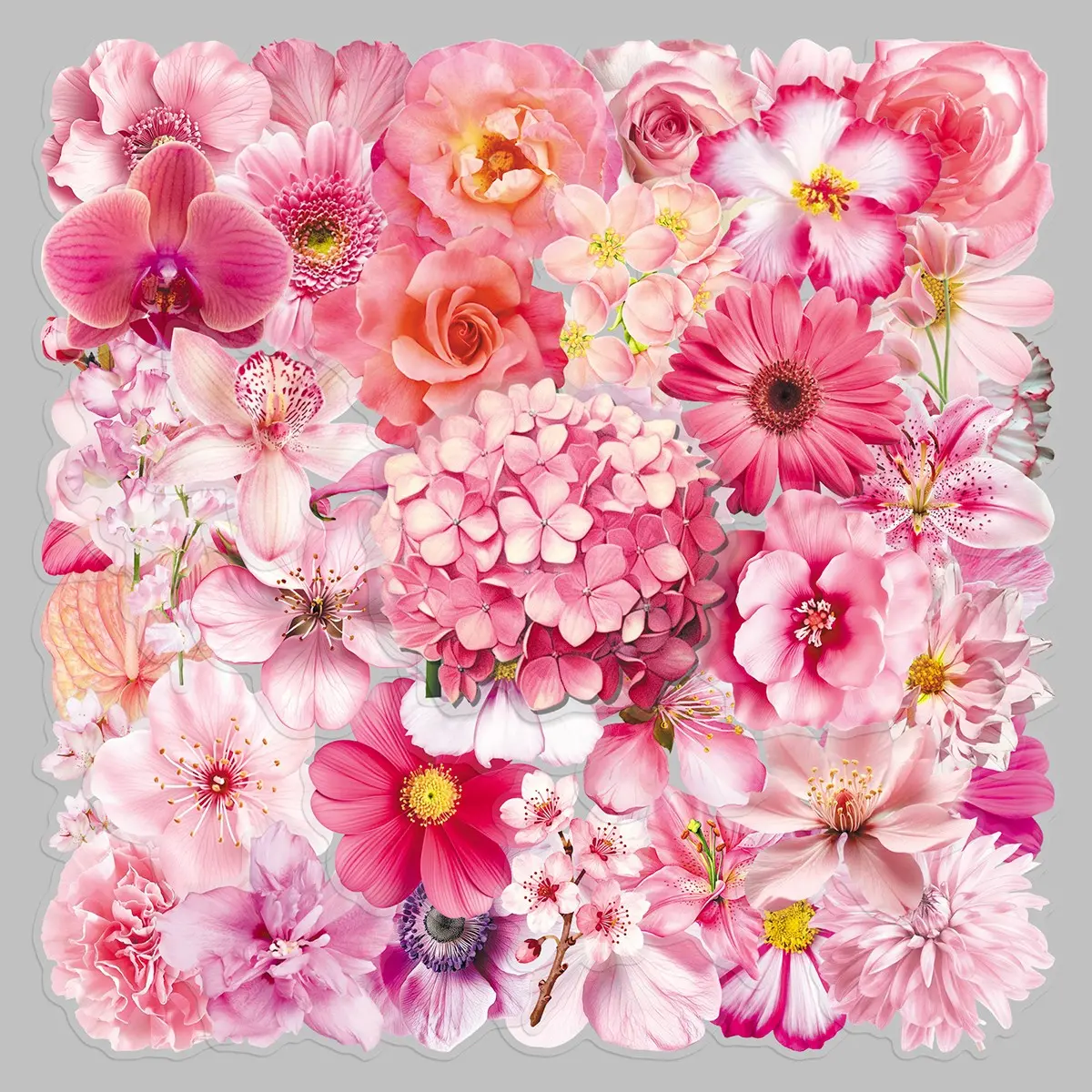 50sheets flowers pick up powder transparent stickers cartoon beautiful flowers small fresh notebook phone case decorative stickers