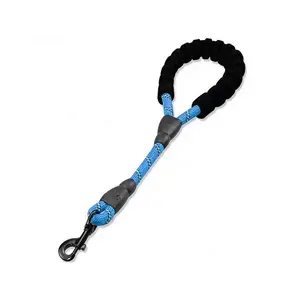 Simple Dog Leash with Comfortable Handle, Reflective Stitching, Click Lock Buckle, Length 50cm, Durable Pet Walking Accessory