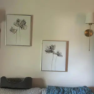 review image 5
