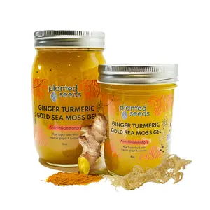 Ginger Turmeric Gold Sea Moss Gel Ginger Turmeric Gold Sea Moss Gel