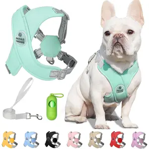 Dog Harness with Leash Set Adjustable Soft Padded Step-in Dog Vest No Choke No Pull Reflective for Small Medium Pets with Poop Bags and Dispenser, Solid No-chew, Green S