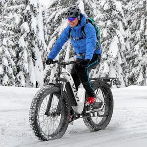 VIVI Aurora Electric Bike, 26" x 4.0 Fat Tire Ebike, 1475W Peak Motor Electric Bike for Adults, 25MPH Ebikes for Adults with 48V 720WH Removable Battery, 7 Speed