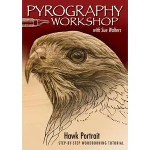 USED-Pyrography Workshop with Sue Walters DVD: Hawk Portrait Step-By-Step Woodburning Tutorial and Beginner's Guide by Walters, Sue (DVD)