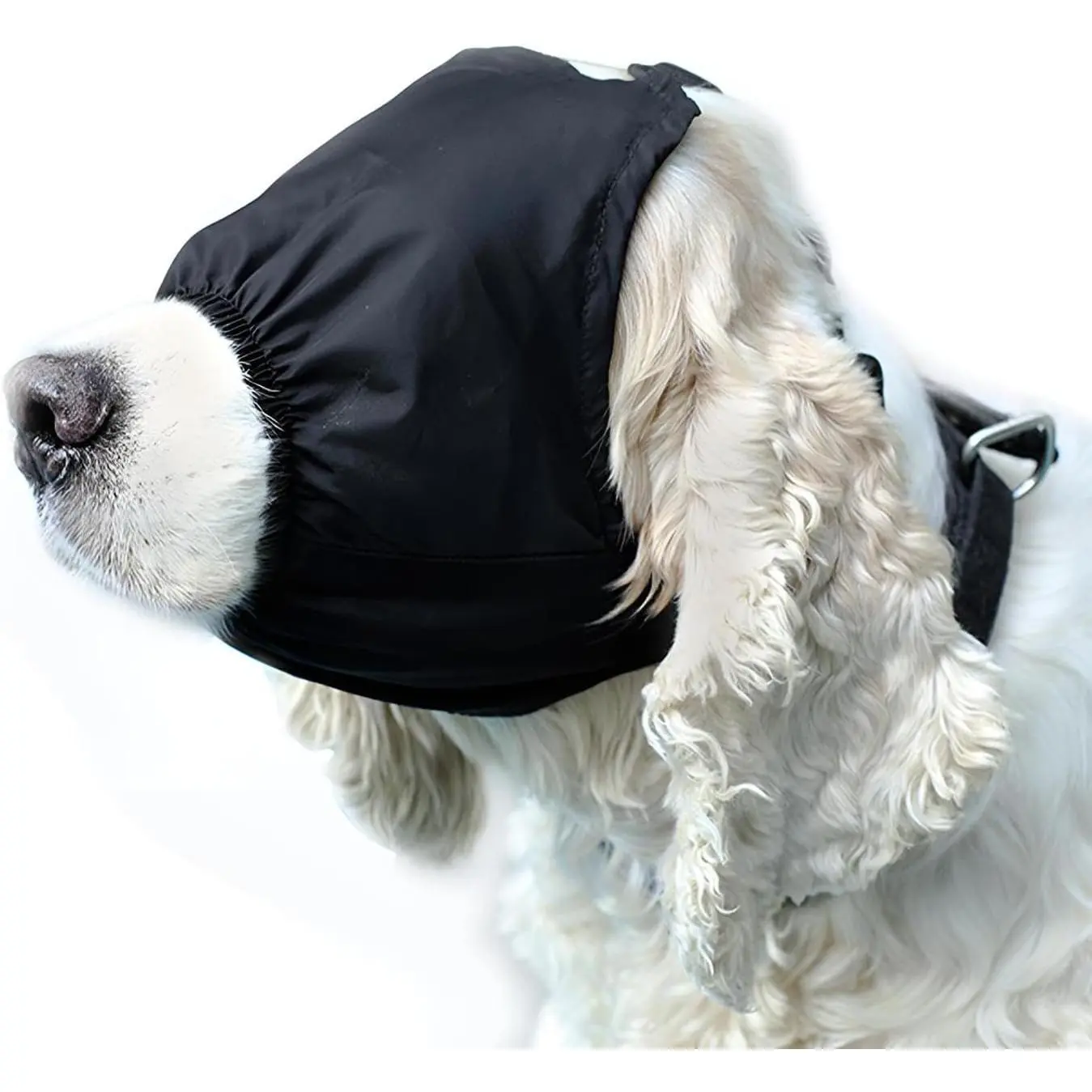 Dog Calming Nylon Eye Mask - Shading Pet Anxiety Mask for Grooming, Anti-Car Sickness (Black, S)