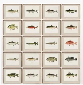 Vintage Fish Collection Art Poster Unframed, Vintage Game Fishes of North America Poster. Lake House Wall Art, Freshwater Fish Prints, Rustic Antique Animal Art, Trout Gallery Wall Art,,Wall Art Decor, Print Wall Decor