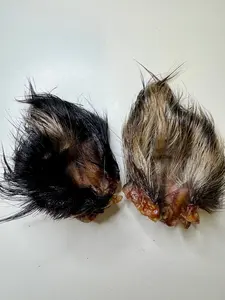Wild Boar Ears (3 Pack)