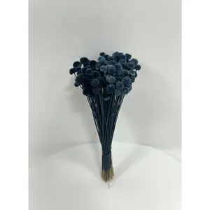 Dried Botao Flowers