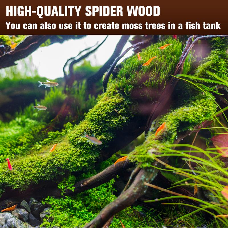 Natural Driftwood for Aquarium Decor, 3-Piece 7''-11'' Large Driftwood for Decorations on Fish Tank, Reptiles Bearded Dragon Accessories or Air Plants (Spiderwood （6-10 inch Pack of 5）)